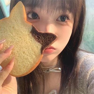 恋爱北极熊
